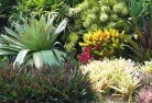 Somerville VICplanting-garden-and-landscape-design-24.jpg; ?>