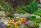Somerville VICplanting-garden-and-landscape-design-69.jpg; ?>
